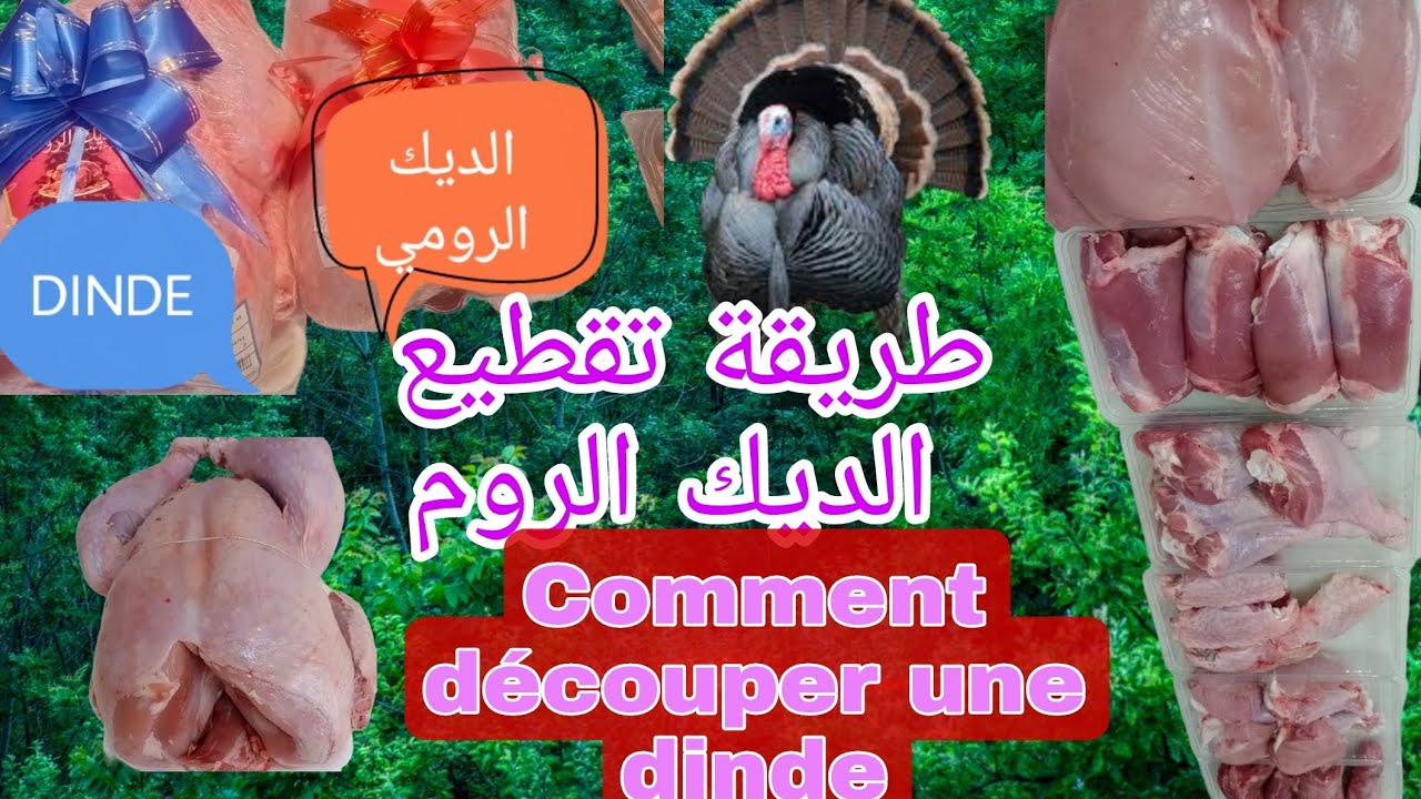 طريقة تقطيع الديك الرومي (الحبش)#Boucherie_nacer#