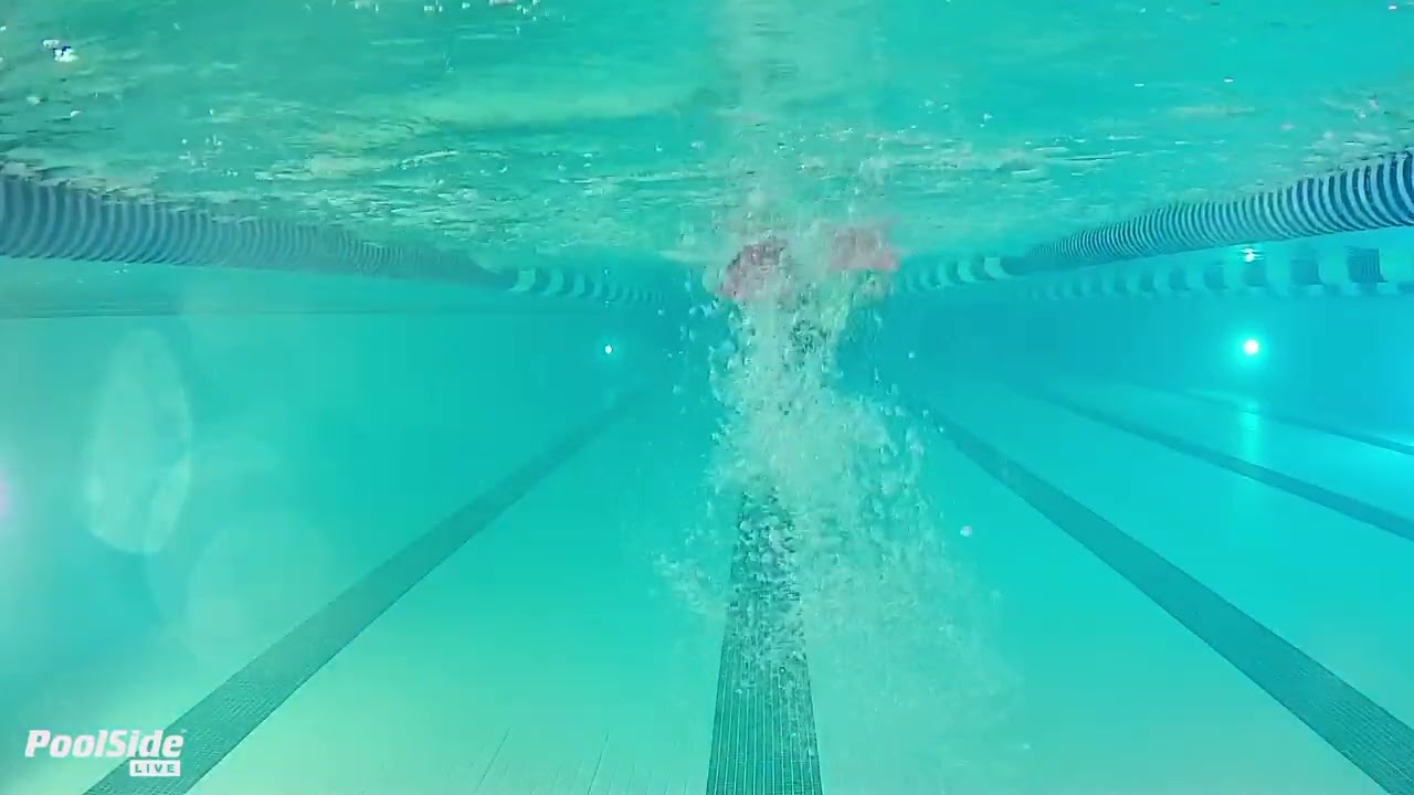 Butterfly Kick On Stomach Arms At Side Slight Kick with Fins
