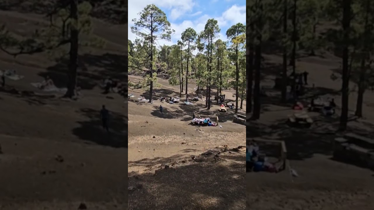 &Aacute;rea Recreativa Pinar Ch&iacute;o ⛰️ +16&deg;C 16:52 March 31, 2024 #tenerife #ch&iacute;o #areacreativapinachio #tnf