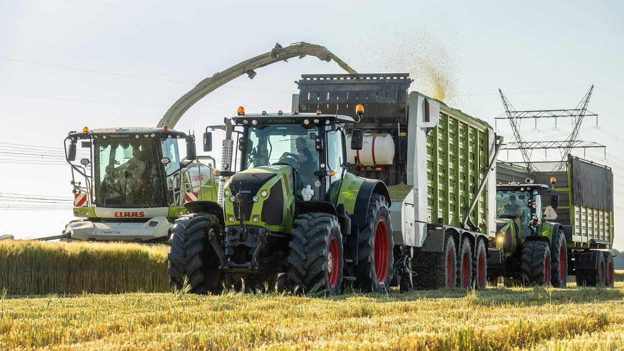 GPS hakselen bij Melkveebedrijf Van Veelen Holsteins met Claas