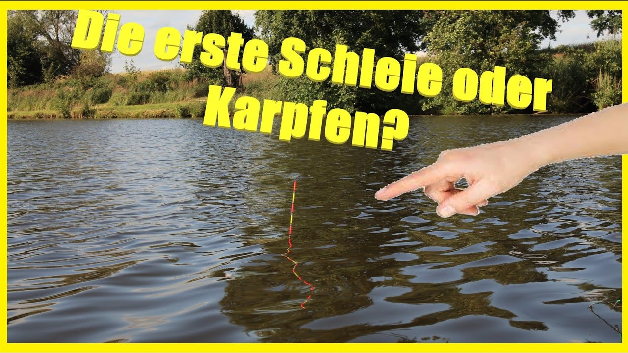 Angeln mit Pose auf Schleie Karpfen und andere Friedfische Erfolg durch richtig  loten und fütter