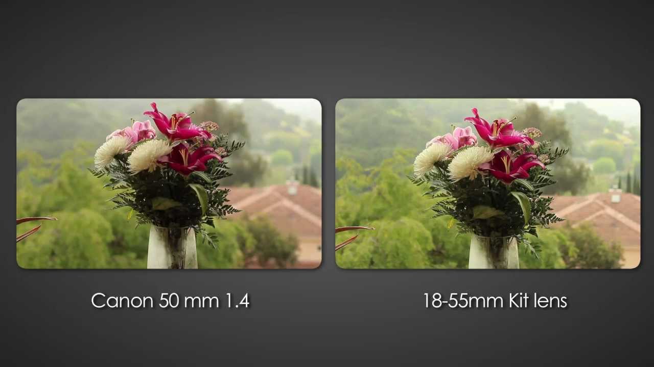 Canon 55mm 1.4 vs 18-55mm kit lens - Shallow depth of field DSLR Video