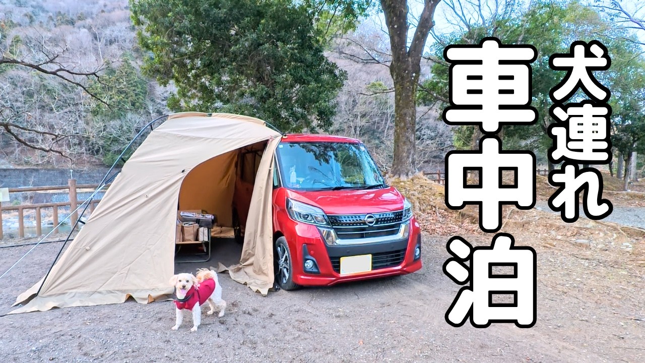 はじめてのソロキャンプ！愛犬とふたり、冬の車中泊キャンプに挑戦してみた。｜solo camping