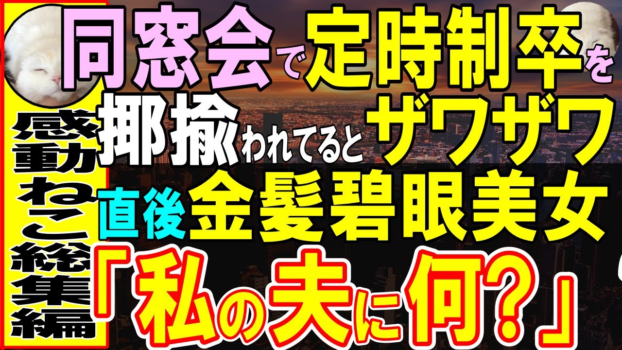 【感動する話】同窓会で定時制卒の俺を見下すエリート同級生「先輩って呼べよｗ」→直後、誰もが目を奪われるほどの美女「妻です」彼女の言葉に、一同驚嘆し…【いい話・朗読・泣ける話】