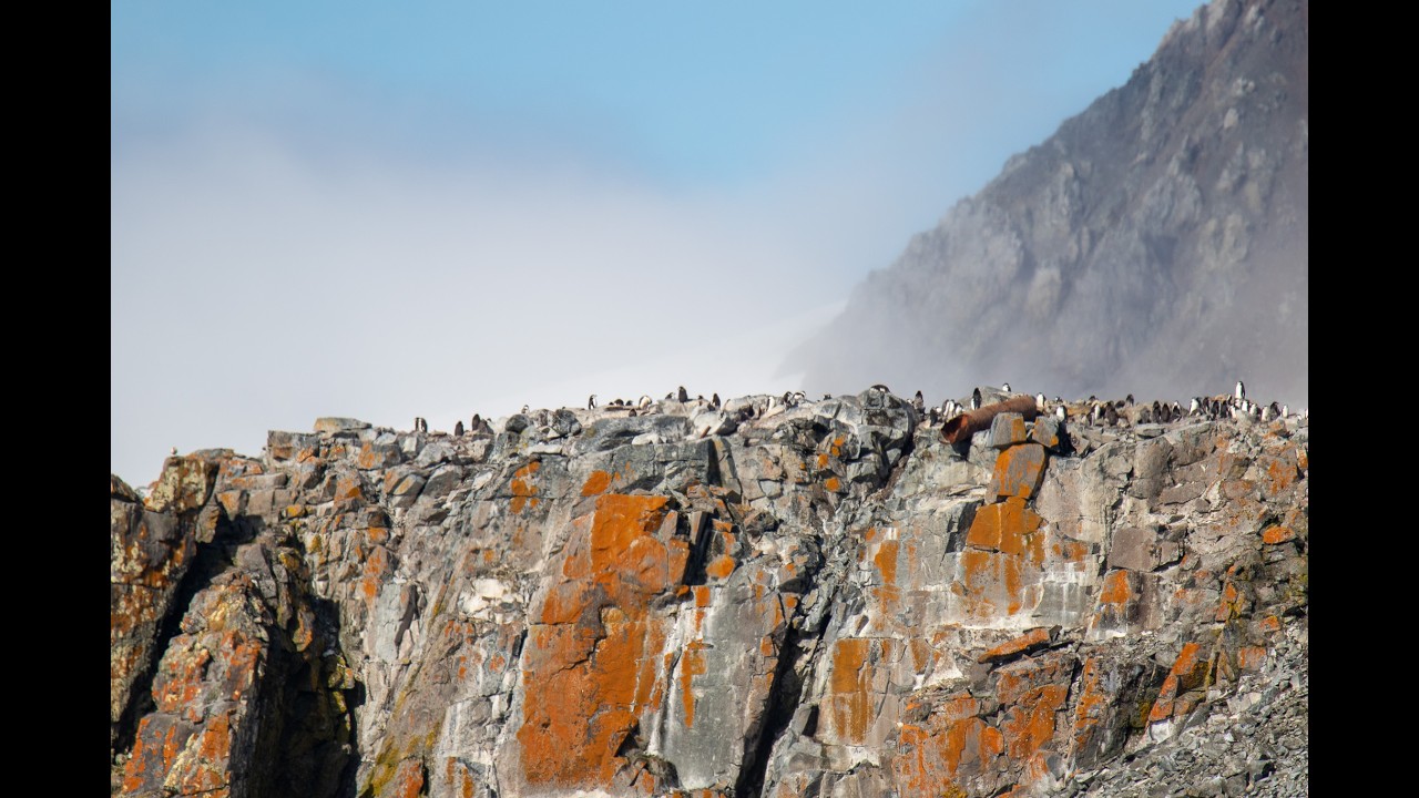 BTAntarcticia 2026 Episode 3