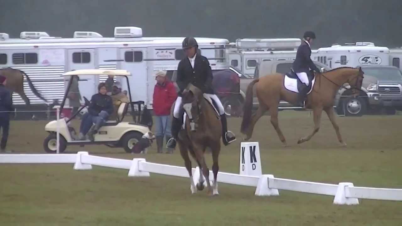 Buck Davidson & No Remorse OP Dressage
