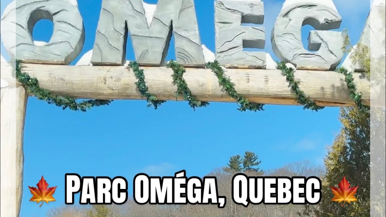 🍁 Parc Oméga, Quebec 🍁
