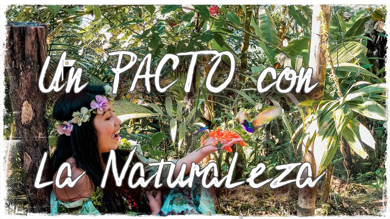 PACTO ►ECUADOR🔴TURISMO VIVENCIAL