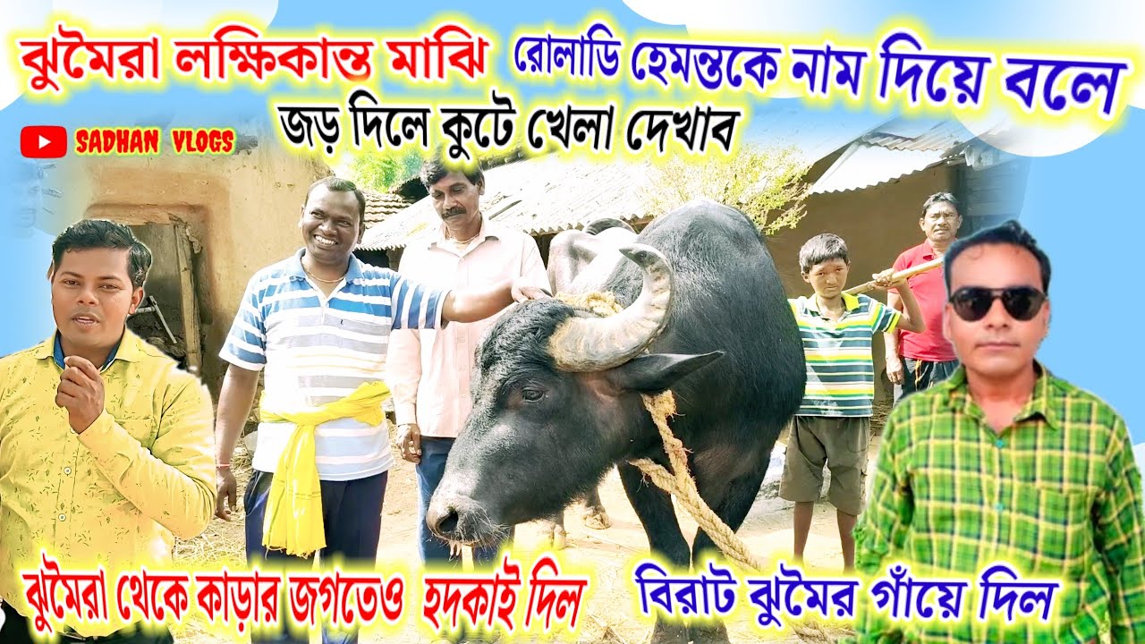 ঝুমৈরা লক্ষিকান্ত মাঝি রোলাডি হেমন্তকে নাম দিয়ে বলে দিল জড়া দিলে যেমন ঝুমুর দিয় তেমনি খেলা দেখাব