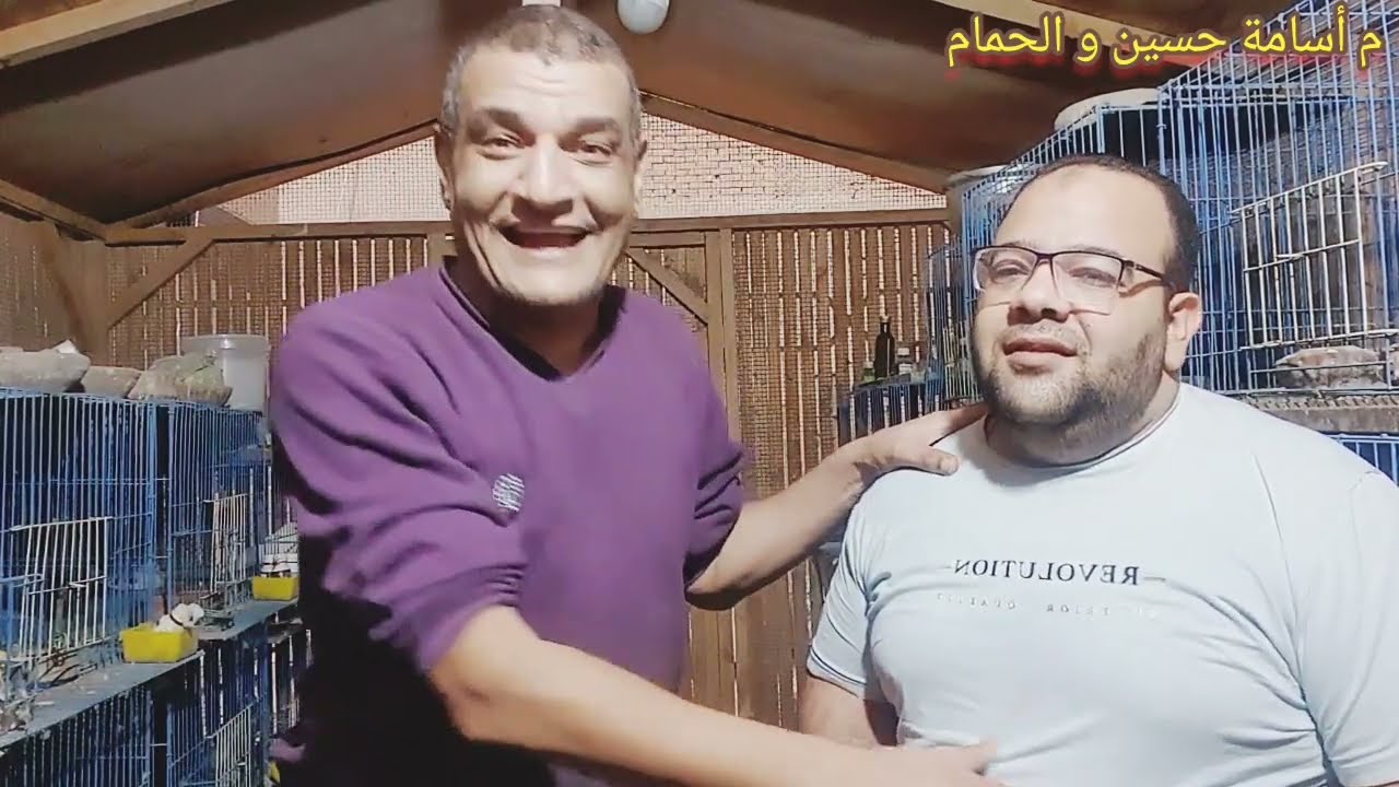 ألف سلامة لأبو إياد 🤲نهجان الحمام 🙁وزرقان جوف الفم عند الطيران 😔ليه الحمام بيرجع الدوا 🧐دعواتكم
