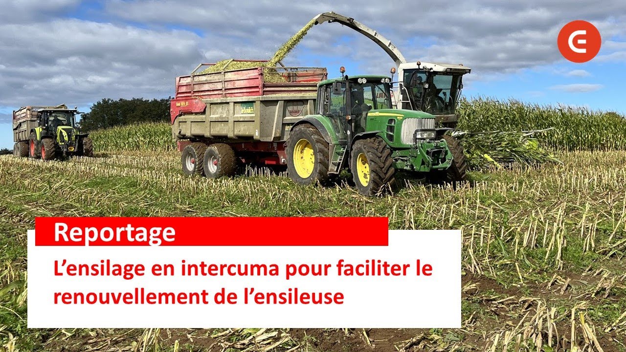 Derniers chantiers pour l'ENSILEUSE de 20 ANS de la cuma des Vosges Sa&ocirc;noises