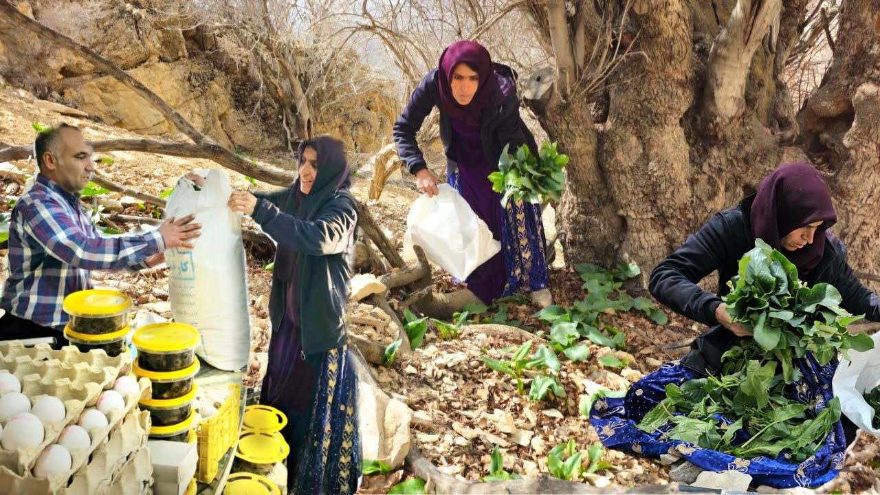 Ashraf's trip to the mountains to obtain medicinal herbs💊: Nomadic life