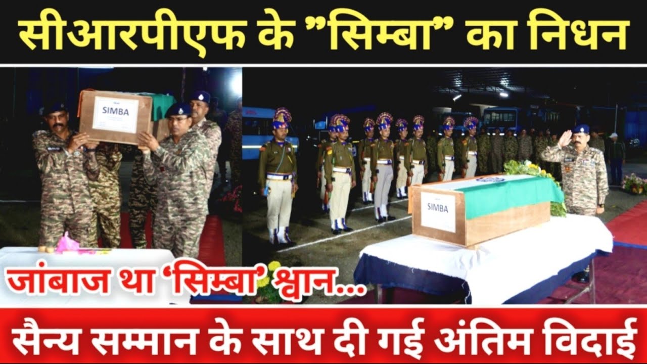CRPF के वीर श्वान सिम्बा को अंतिम सलाम! 148वींबटालियन ने नम आंखों से दी विदाई #crpf 