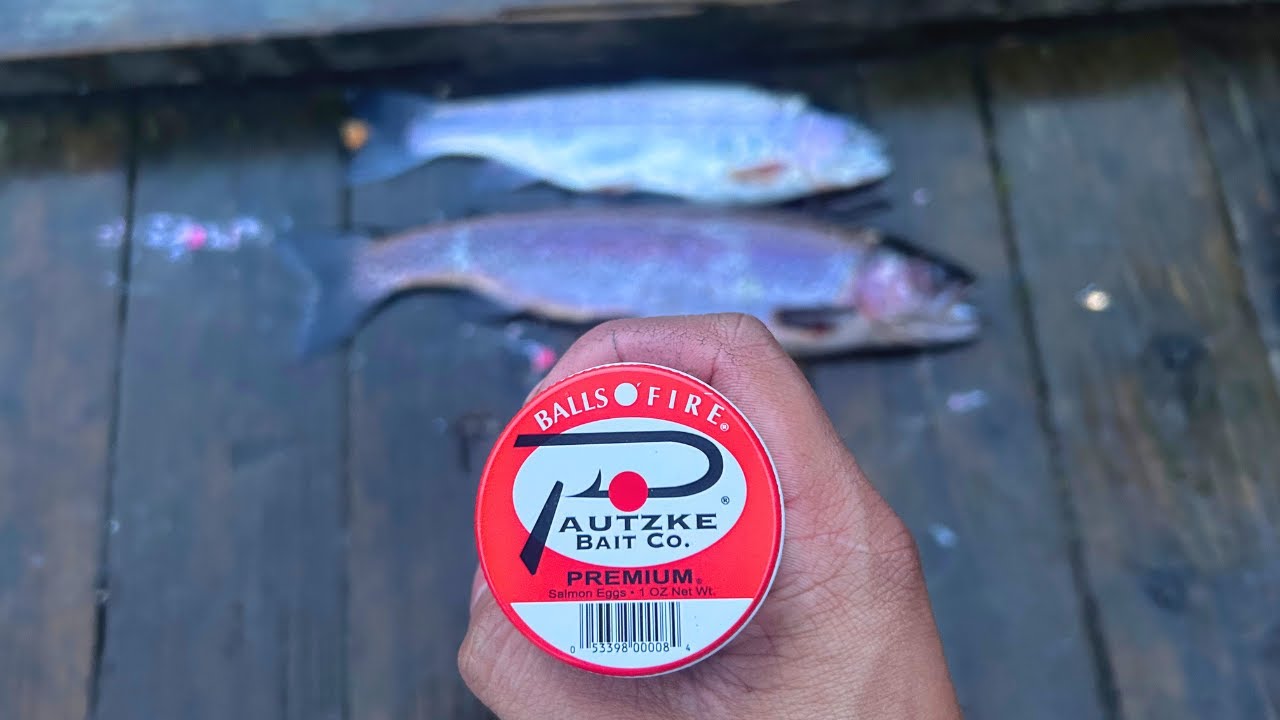 USE THIS! Fishing for STOCKED TROUT!