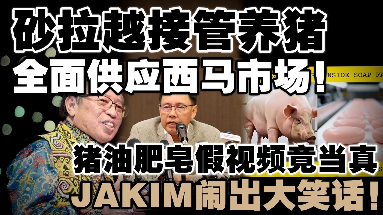 雪州嫌脏不养，砂州吞下西马猪肉市场！猪油肥皂视频曝光，JAKIM竟当真闹大笑话！
