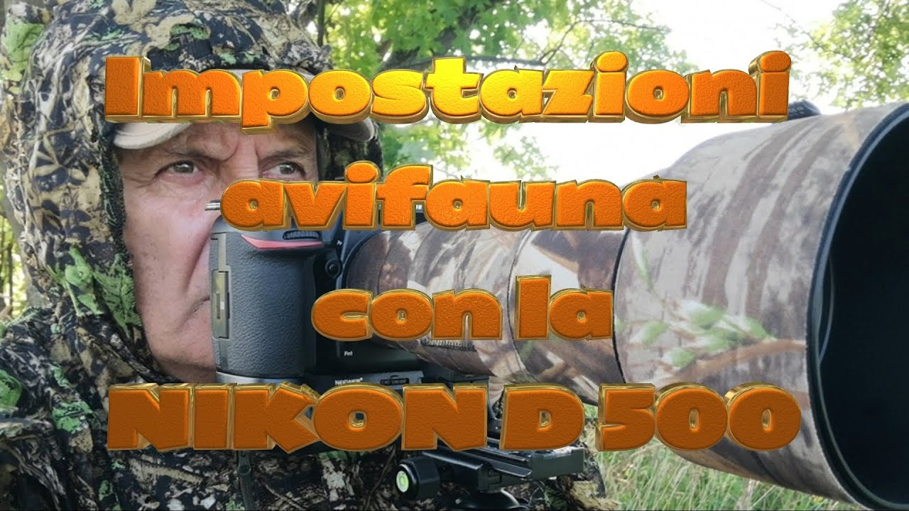 Le mie impostazioni in avifauna con la Nikon d500