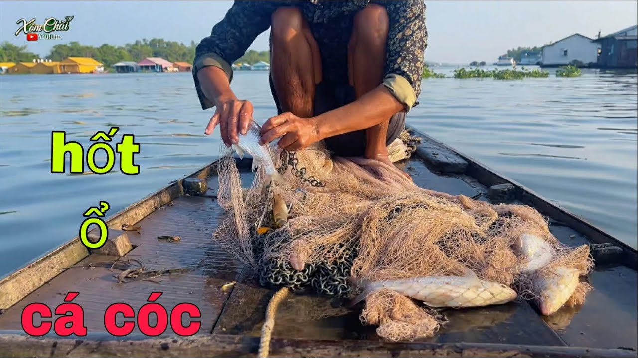 Chuyến Đi Chài Cá Cóc Nhiều Quá 