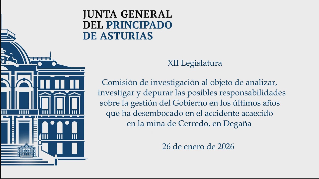 Comisi&oacute;n de Investigaci&oacute;n sobre el accidente en la mina de Cerredo (I)