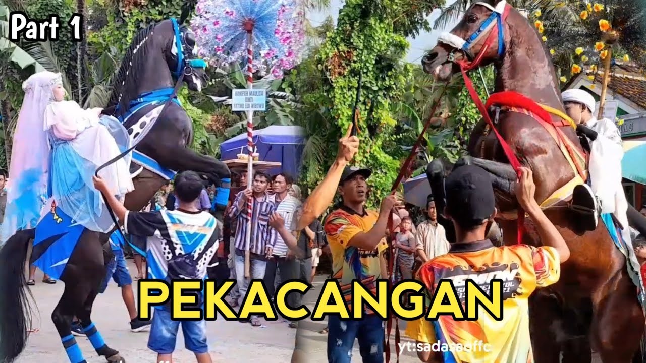 ARAK ARAKAN KUDA JINGKRAK DESA PEKACANGAN | 1 FEB 2026