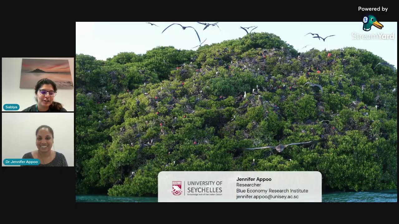 Impacts of seabird-derived nutrients on mangrove ecosystems