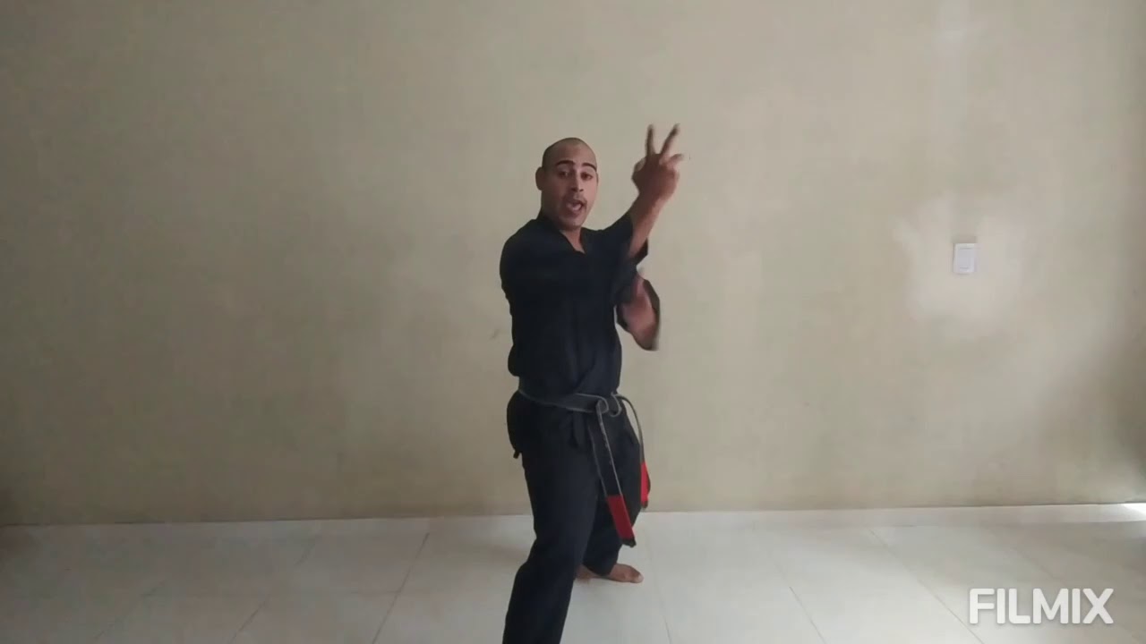KENPO KARATE: La mejor explicación de la técnica DELAYED SWORD (Parte 1)