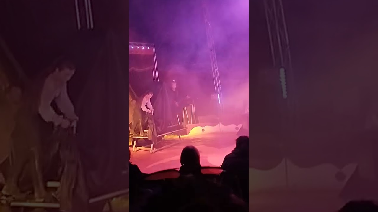 deuxième partie du cirque 