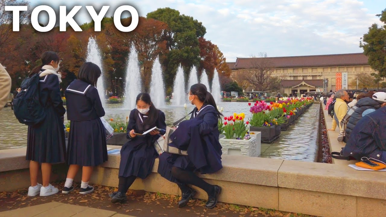 [4k] Tokyo - Walking in Ueno Park. Students and ginkgo tree (Dec. 2022)