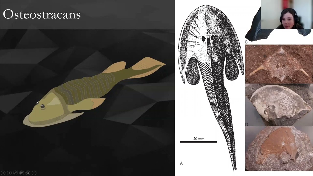 Frozen Fossils: A History of Life in Svalbard