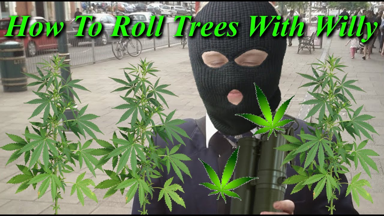 How To Roll Spliff [Willy Method]