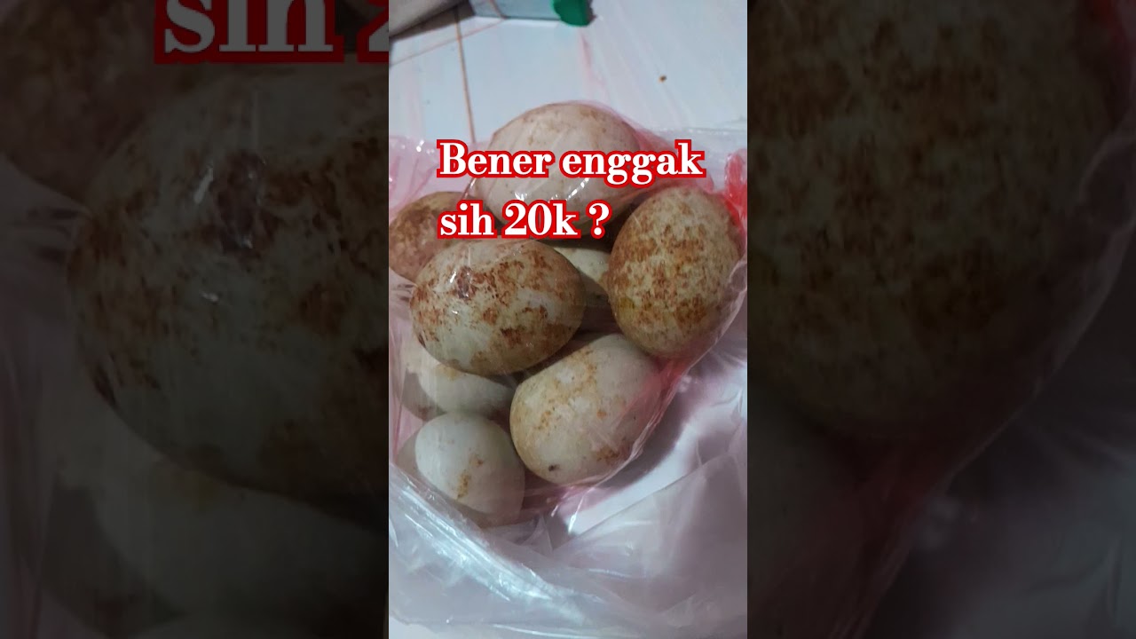 Telur tetangga @setiasih9886 #pendidikan #hargatelur #hargatetangga #murah #shorts