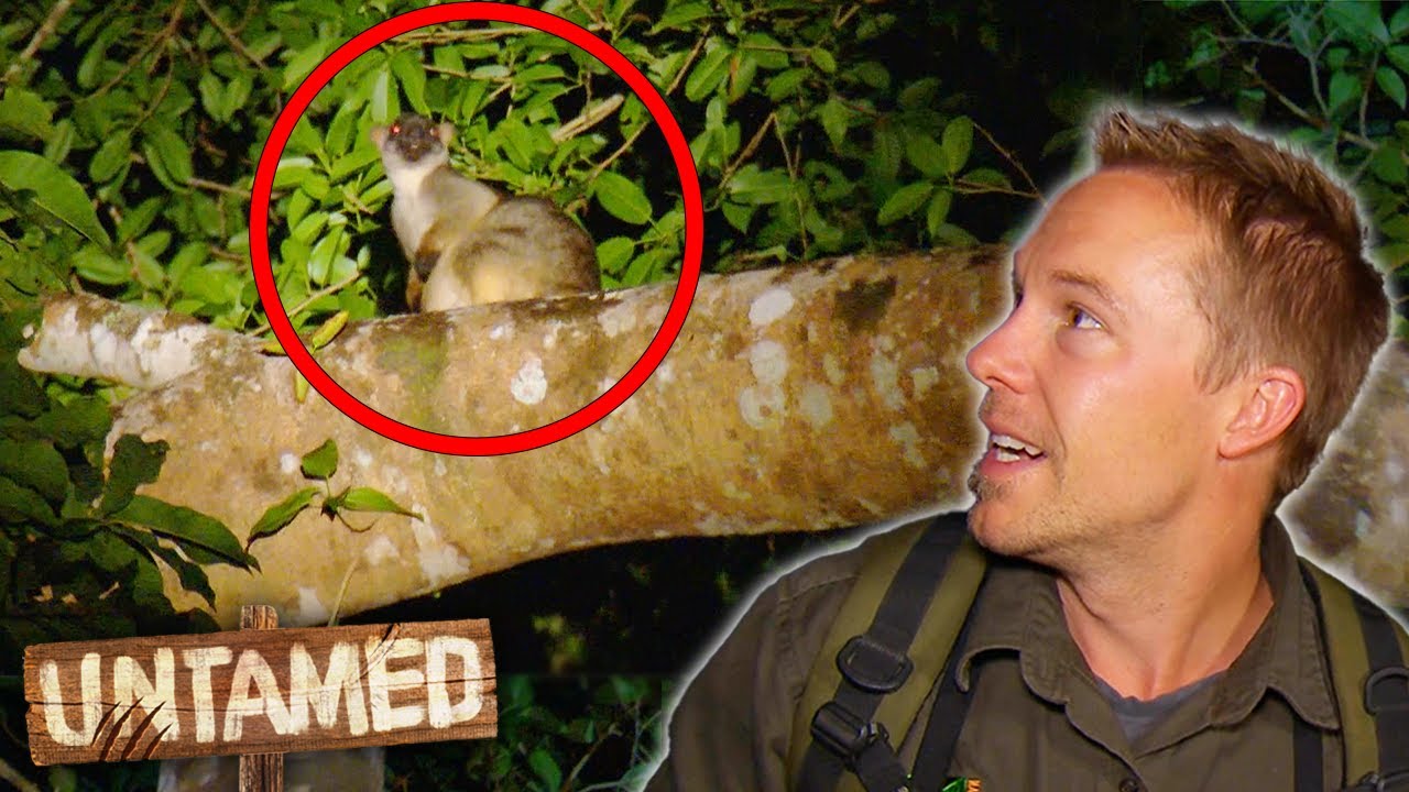 Searching for a Tree Kangaroo Only found In This One Place! 🦘 | The Wild Life Of Tim Faulkner S2 Ep7