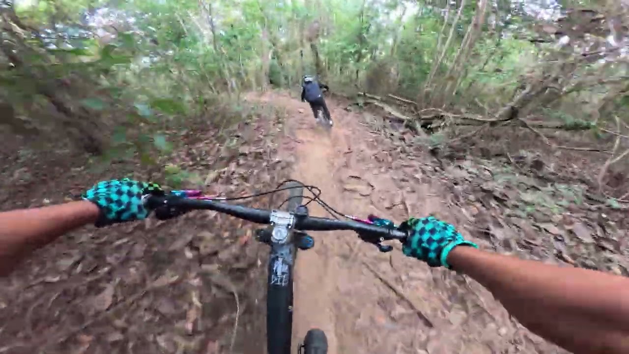 Trinidad Silverback Race Practice 2026
