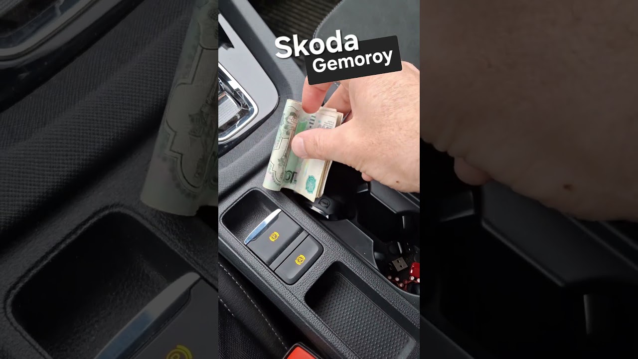 Skoda: Gemoroy (2025)
