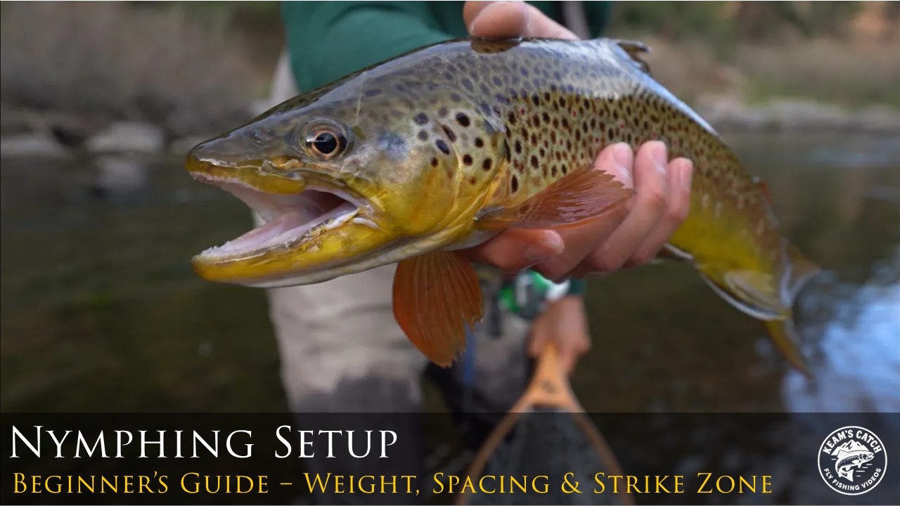 Perfect Your Nymph Rig: Weight, Spacing, and Strike Zone Tactics - Fly Fishing / Catch More Trout