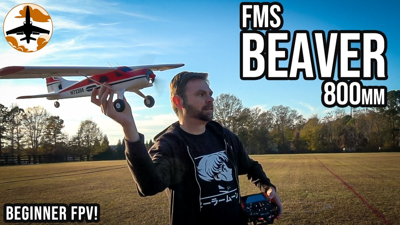 Honey, Who Shrunk The Beaver? FMS Beaver 800mm Overview