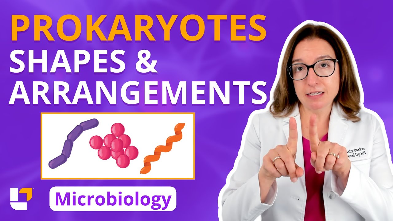 Prokaryotes: Shapes & Arrangements - Microbiology for Pre-Med, Nursing & Health Care |​⁠ @leveluprn
