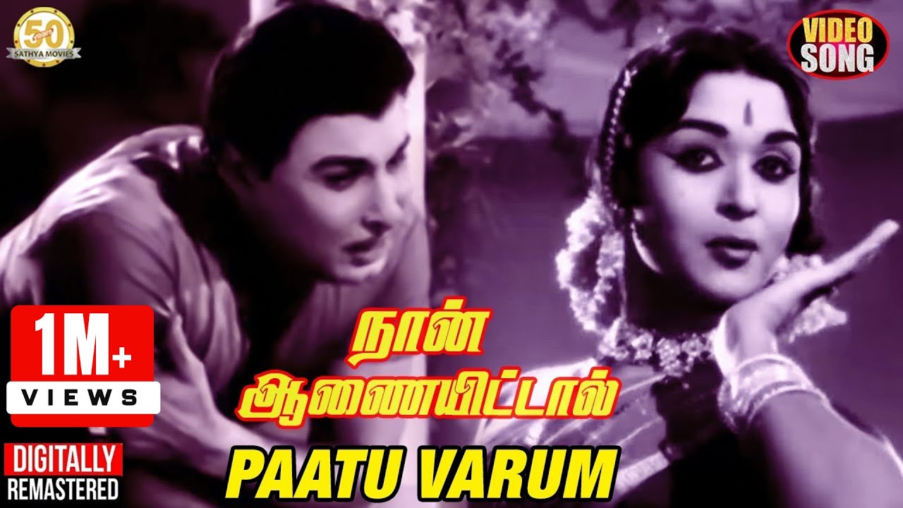 Naan Aanaiyittal Movie Songs | Paatu Varum Video Song | MGR | Saroja Devi | MSV | TMS | P Susheela