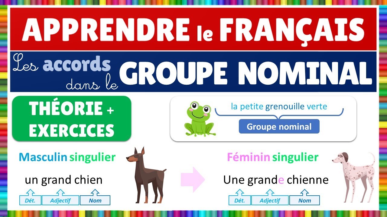 Les accords dans le groupe nominal (GN) || Français