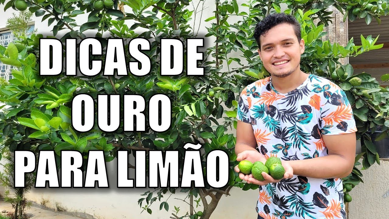 DICAS DE OURO PARA P&Eacute; DE LIM&Atilde;O | Victor Horta na Varanda