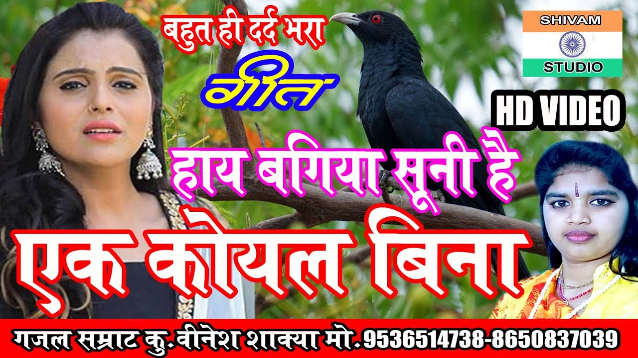 Bhajan हाय बगिया सूनी है एक कोयल बिना दर्द भरा गीत // Singer Vinesh Shakya