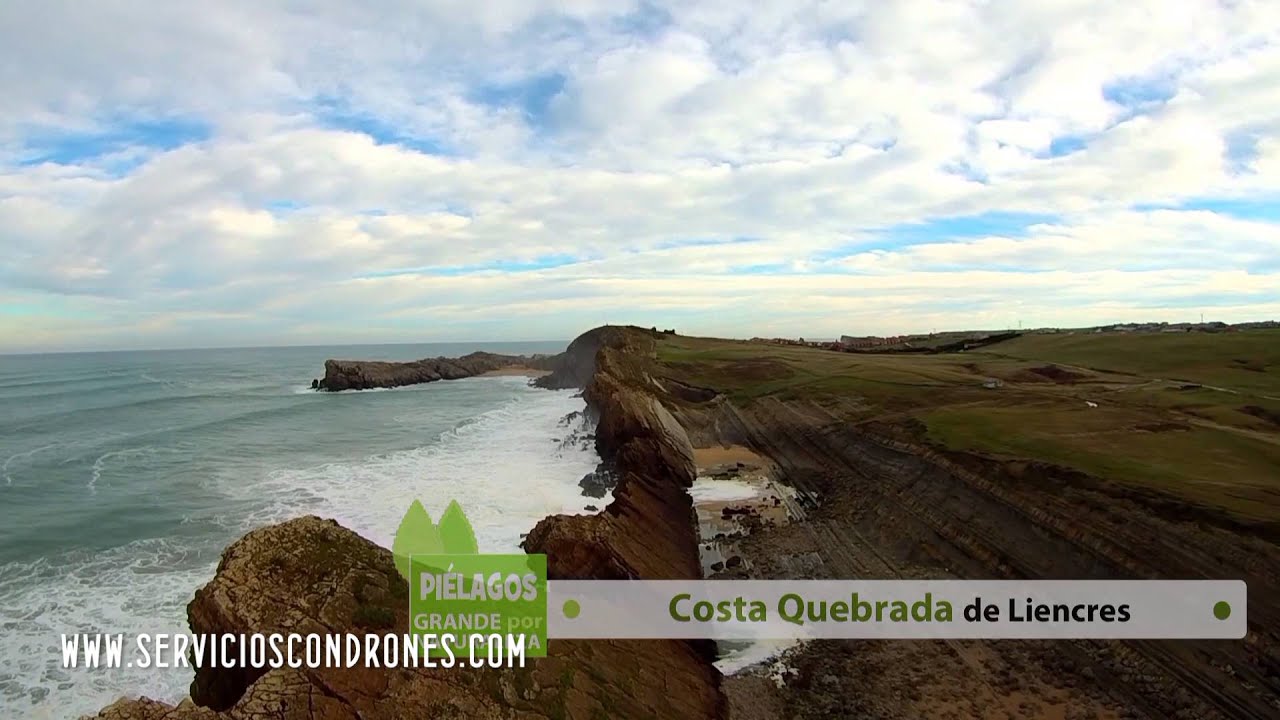 Pielagos Servicios con Drones