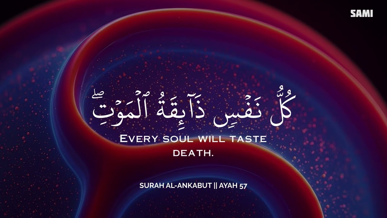 ساعة كاملة🕛🎧 | تلاوة تقشعر لها الأبدان بصوت عبادي حسام | Reciter Abbadi Houssem | 💚🎧