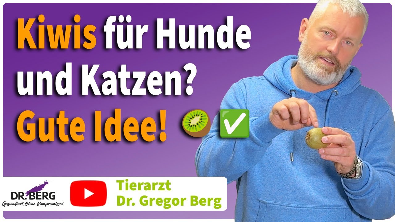 🥝 Kiwis für Hunde und Katzen? Gute Idee! I Tierarzt Dr. Gregor Berg