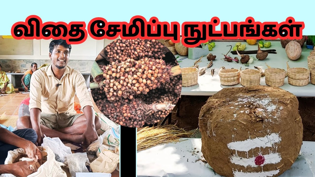 விதை சேமிப்பு நுட்பங்கள் இது தெரியலனா இயற்கை விவசாயத்தில் வெற்றியடைய முடியாது
