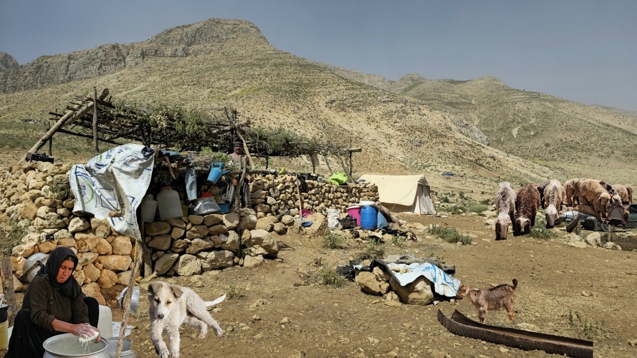 Nomadic Life: How Hardworking Nomads Prepare Traditions