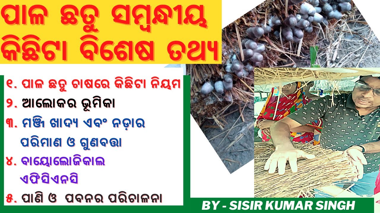 ଛତୁ ଚାଷର କିଛିଟା  ବିଶେଷ ତଥ୍ୟ