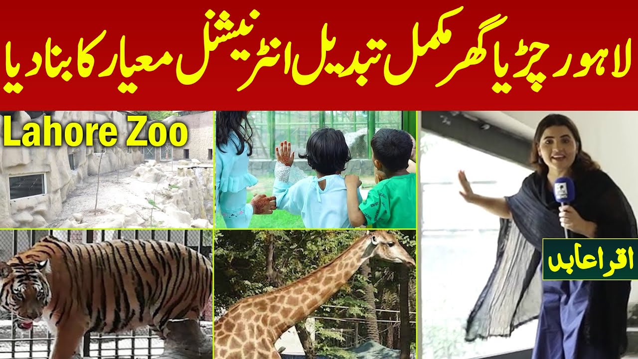 Lahore Zoo International Level Ka Bana Diya Mukamal Tabdeel | Croro Rs Ka Kharcha | Iqra Abid