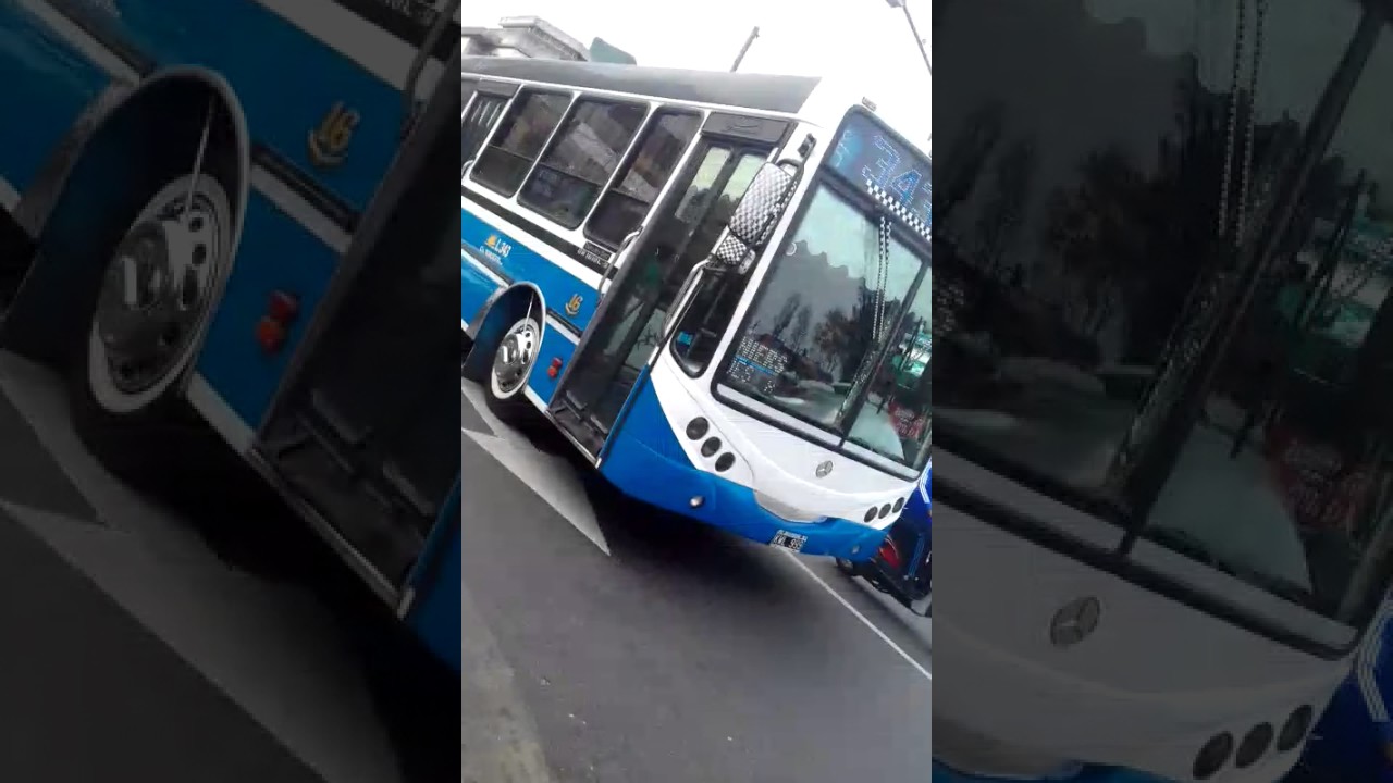 Linea 343 int 16 cia noroeste