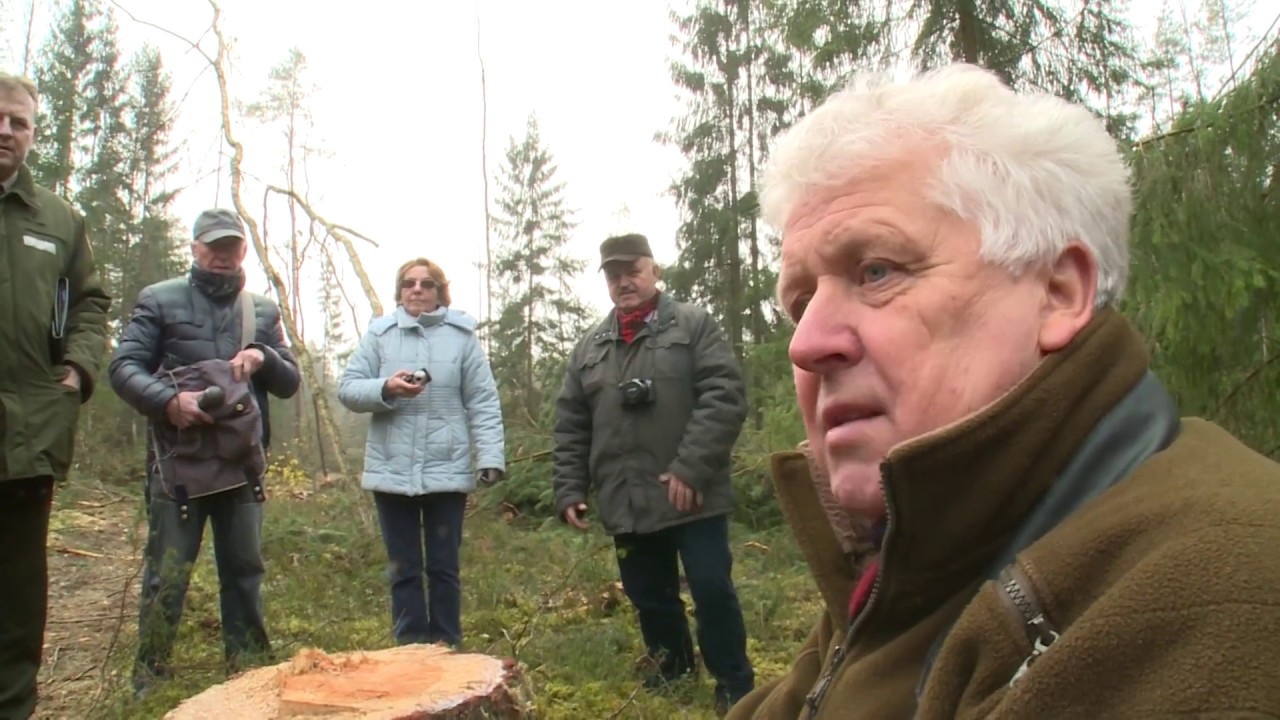 Lietuvos gamtininkai kūrėjai: Selemonas Paltanavičius