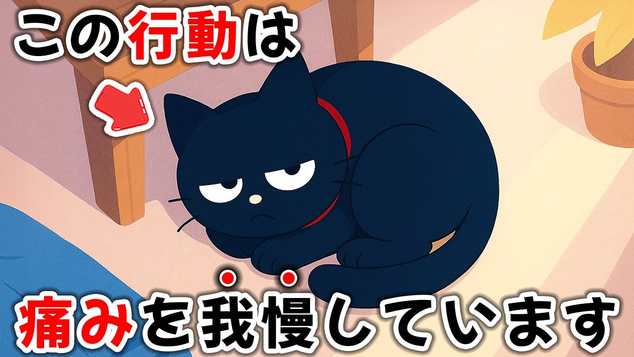 ほとんどの飼い主が見逃している...猫の痛みサイン【猫雑学】